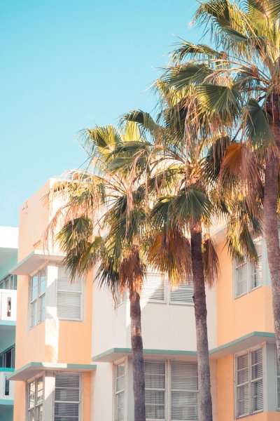 AdobeStock_184504860 AdobeStock_184504860